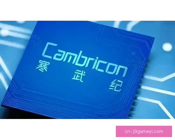 全民星火热 全明星冷清的背后原因解析 全民星火热 全明星冷清的背后原因解析